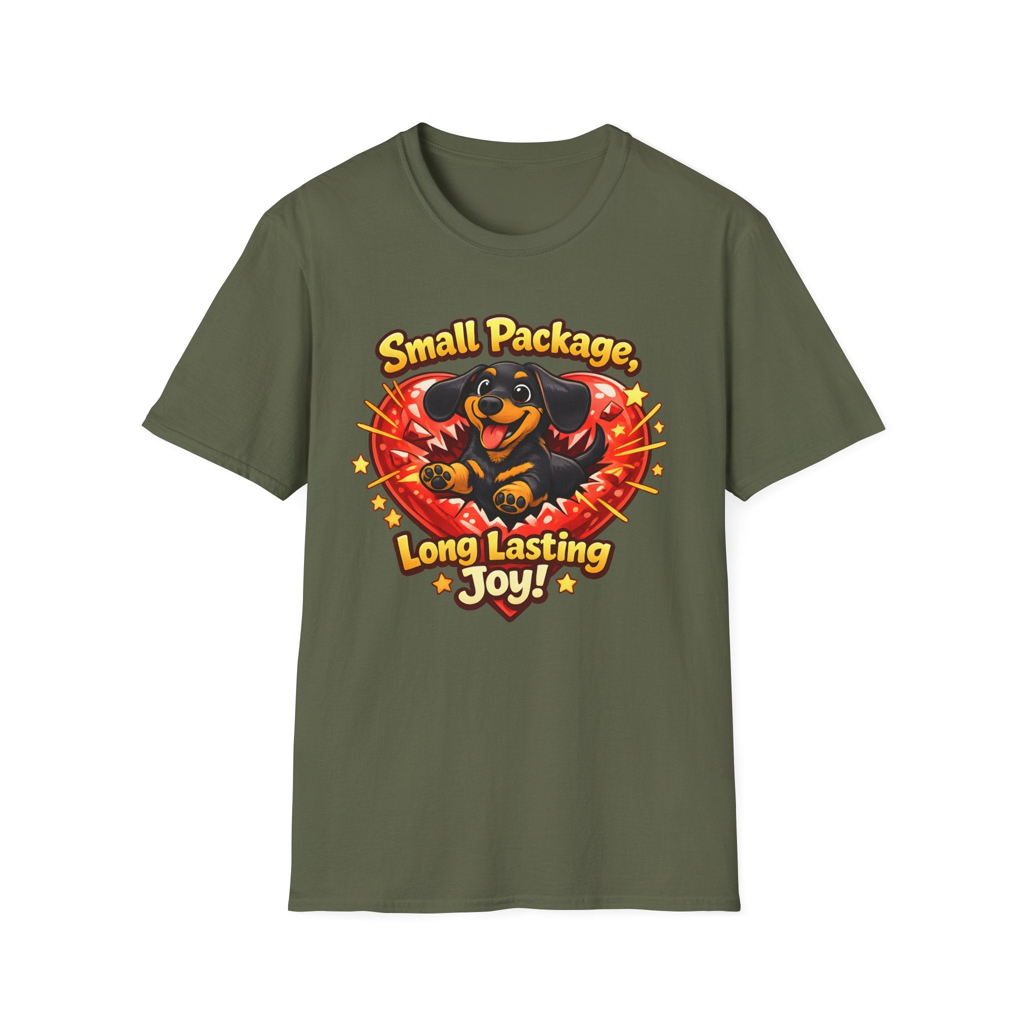 Small Package Long Lasting Joy T-Shirt