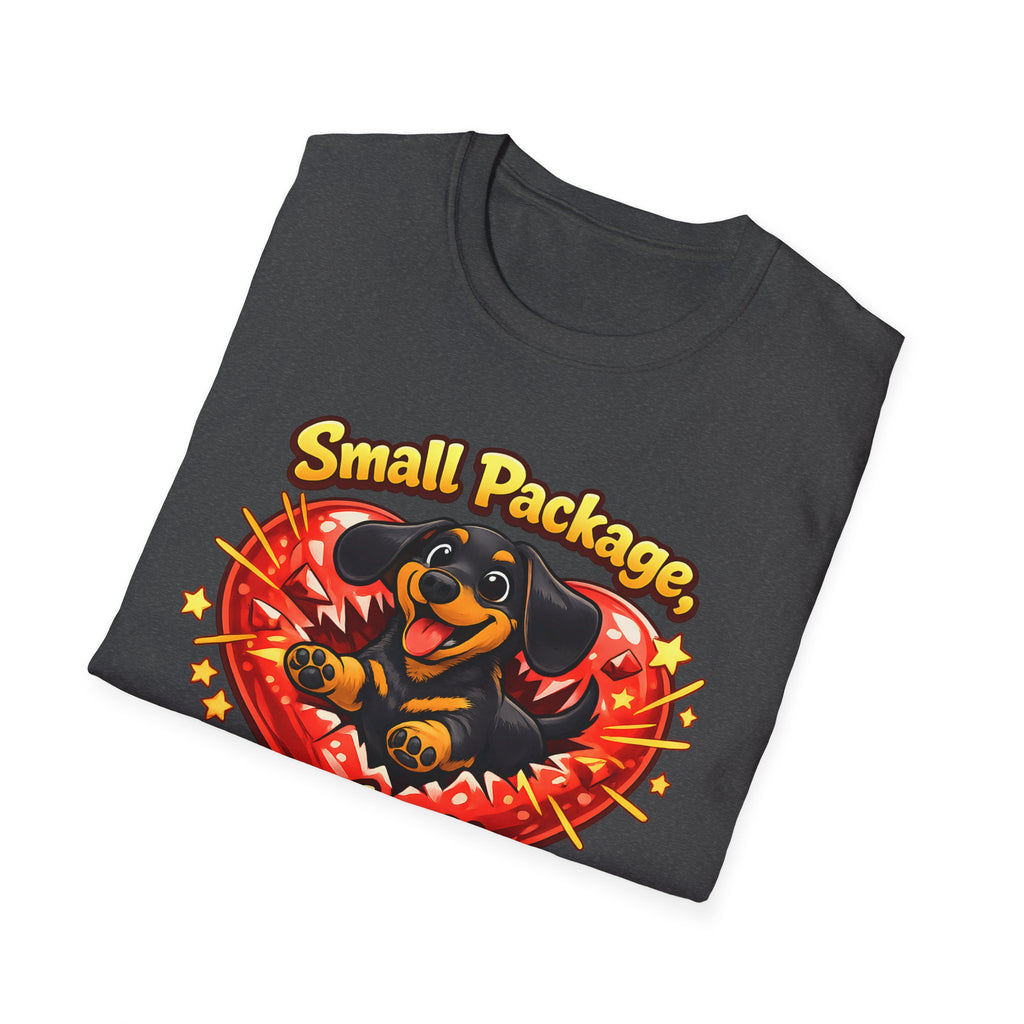 Small Package Long Lasting Joy T-Shirt