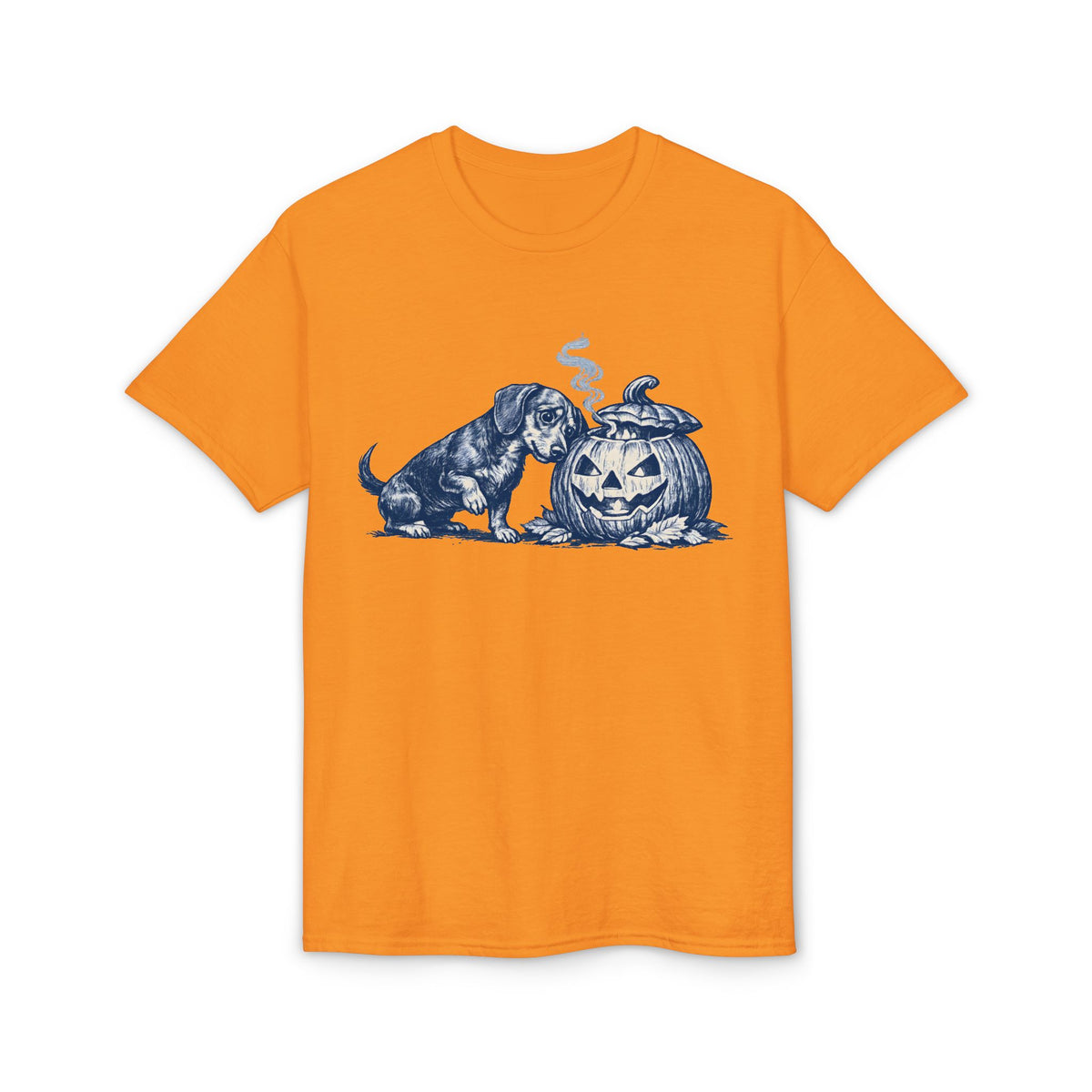 What Is This Jack O Lantern T-Shirt
