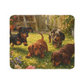 Youthful Joy Fleece Sherpa Blanket