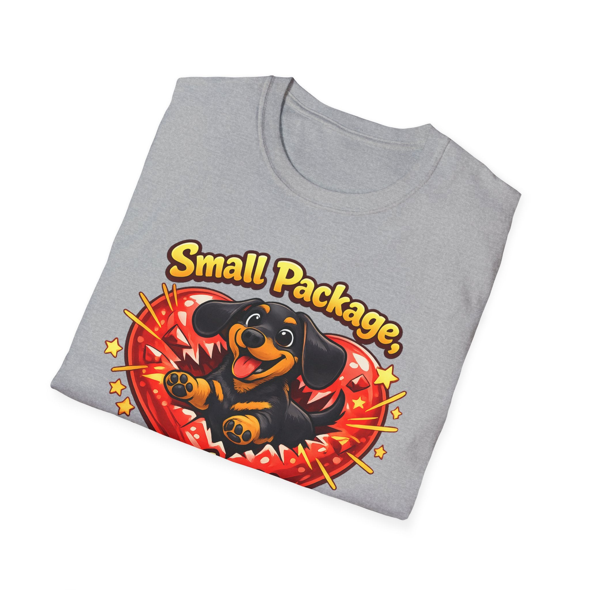 Small Package Long Lasting Joy T-Shirt