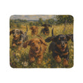 Field Joy Fleece Sherpa Blanket