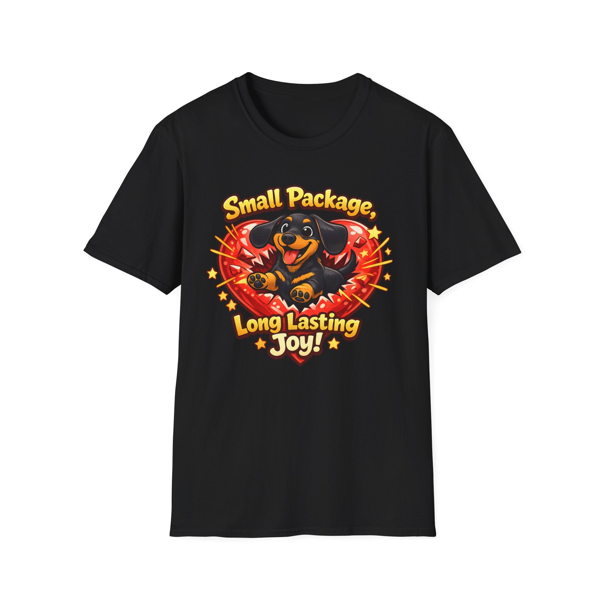 Small Package Long Lasting Joy T-Shirt