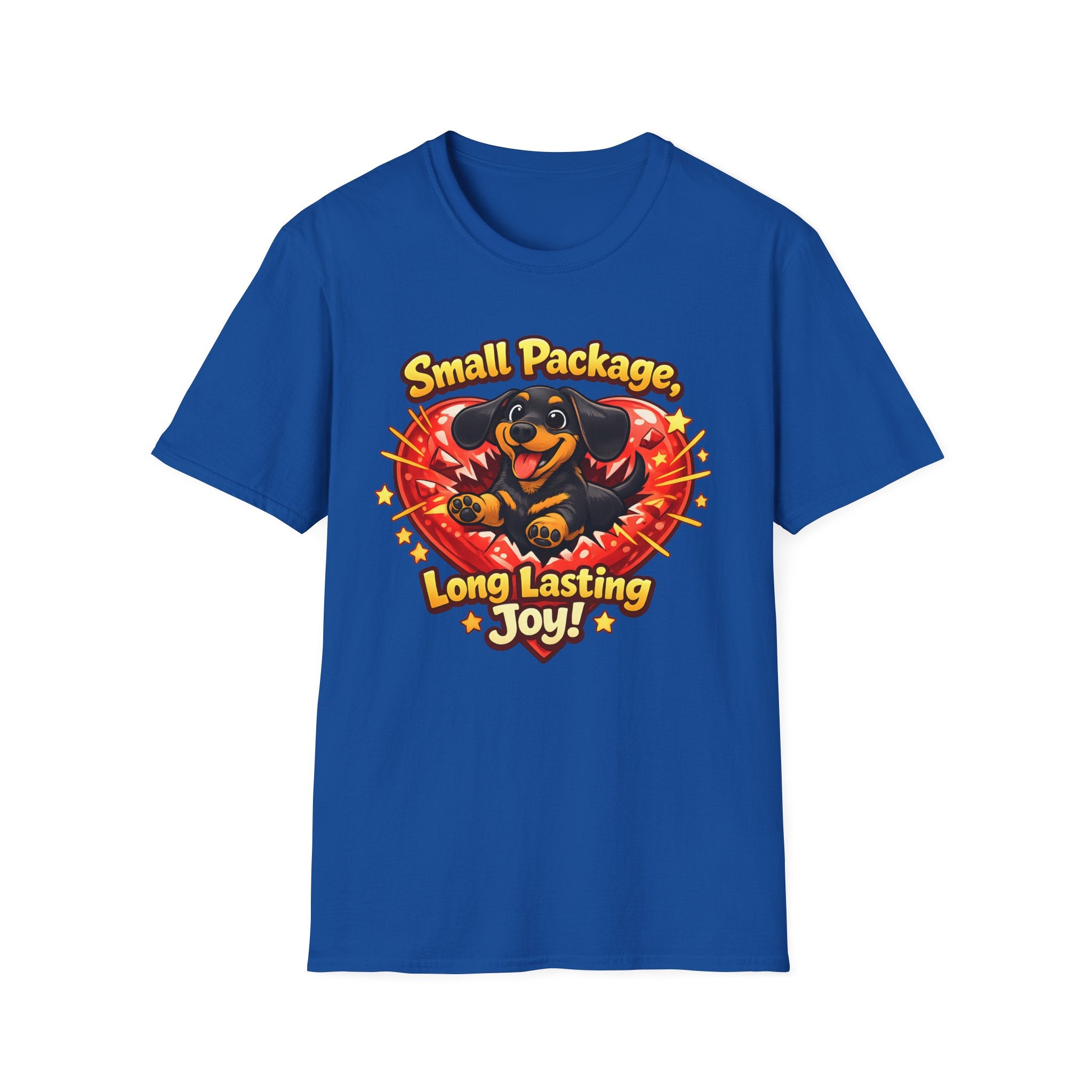 Small Package Long Lasting Joy T-Shirt