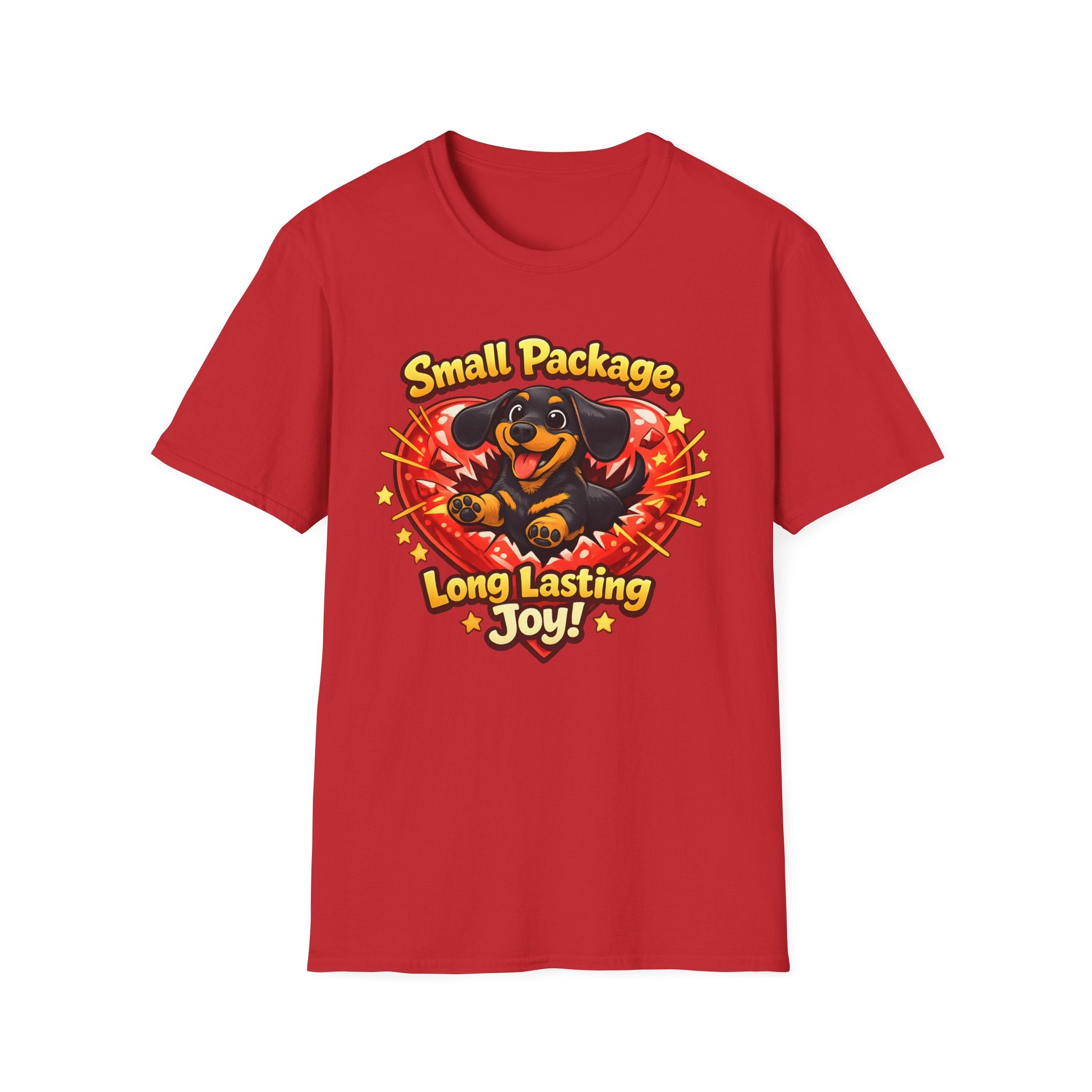 Small Package Long Lasting Joy T-Shirt