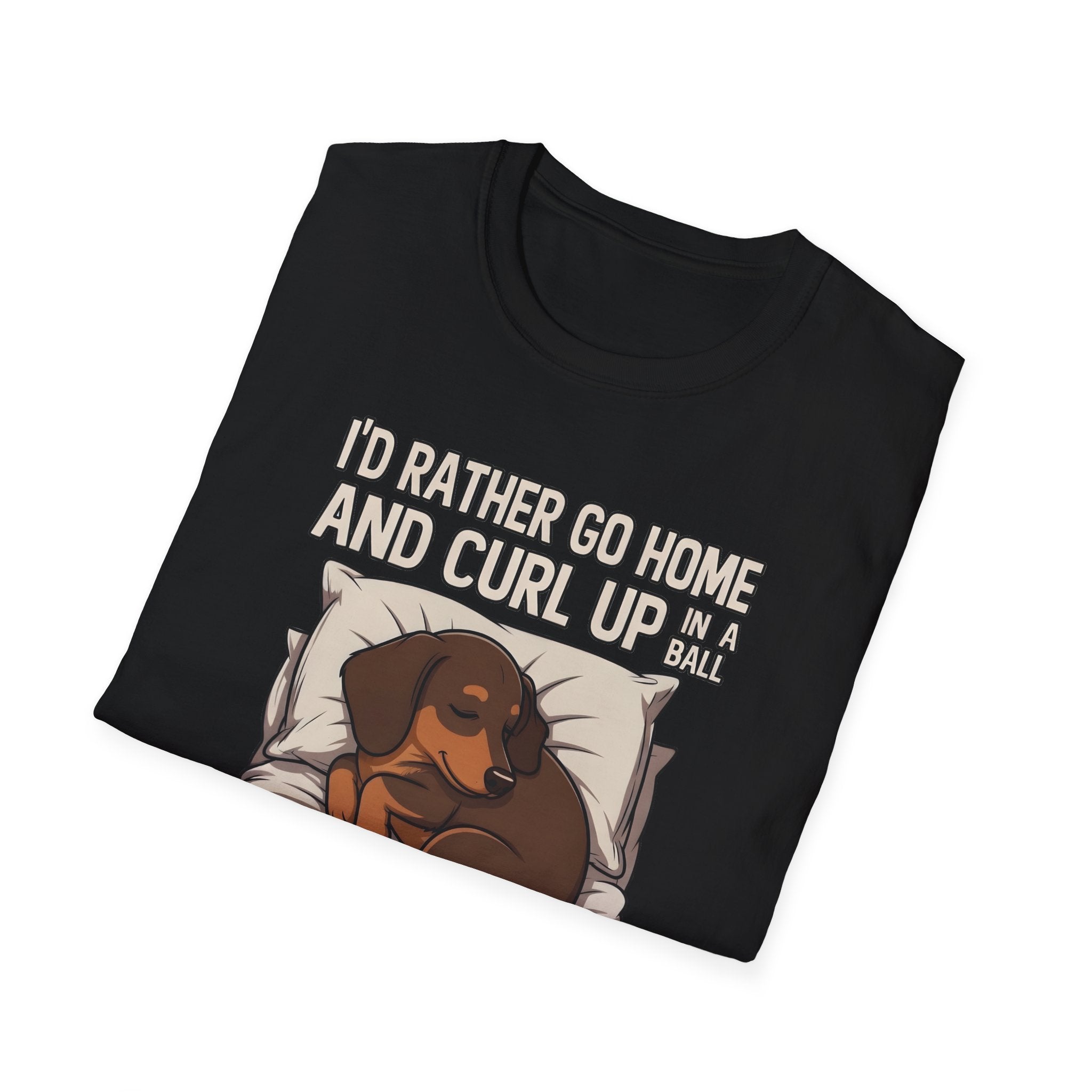I'd Rather Curl Up In A Ball T-Shirt