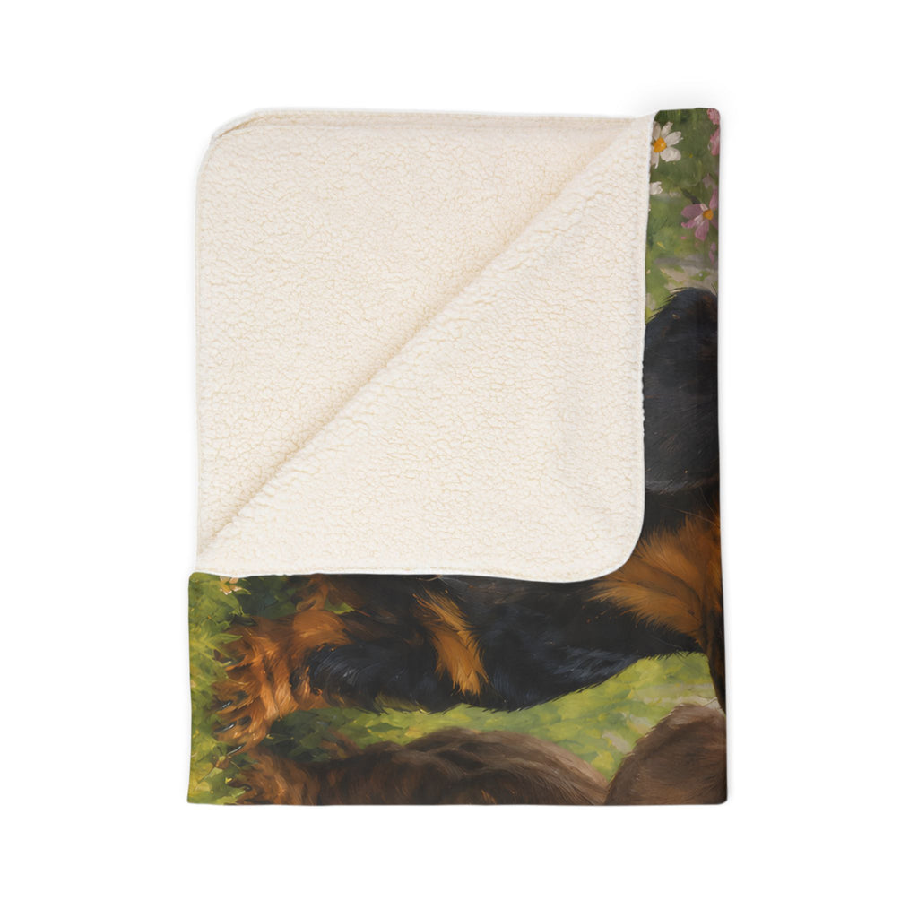 Aerial Discovery Fleece Sherpa Blanket