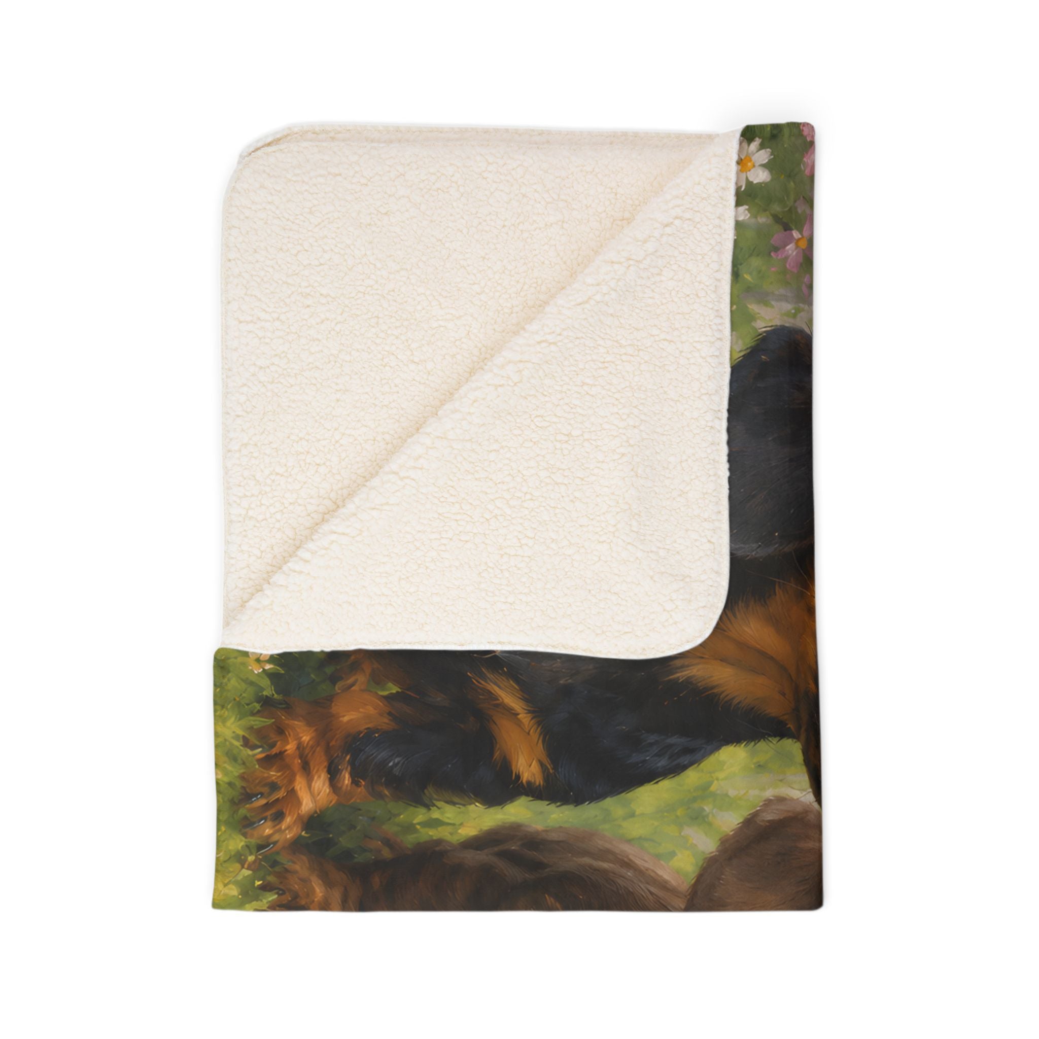 Aerial Discovery Fleece Sherpa Blanket