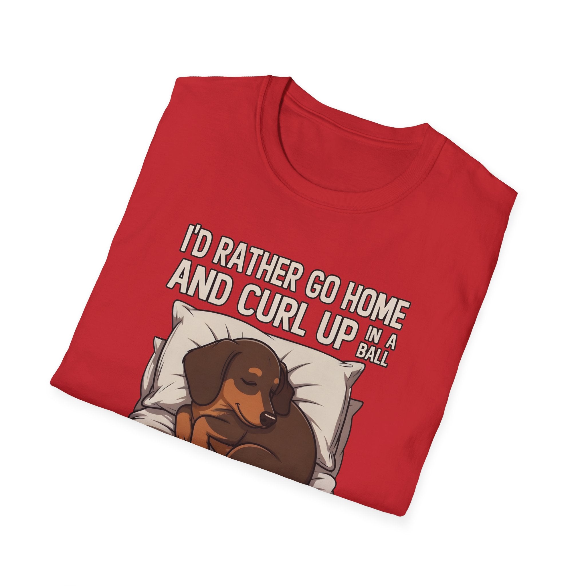 I'd Rather Curl Up In A Ball T-Shirt