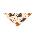 Long Hair Dachshunds Running Dog Bandana