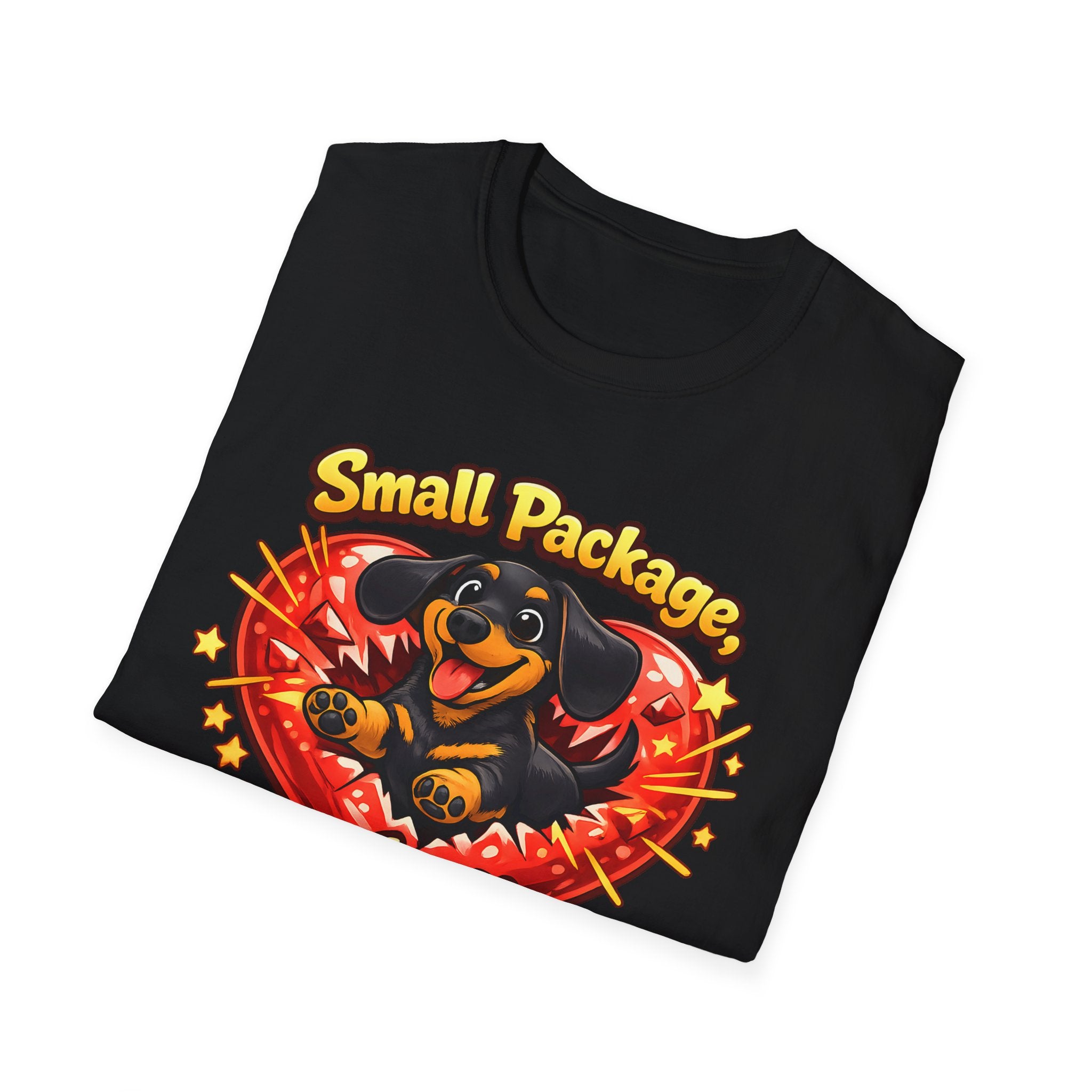 Small Package Long Lasting Joy T-Shirt