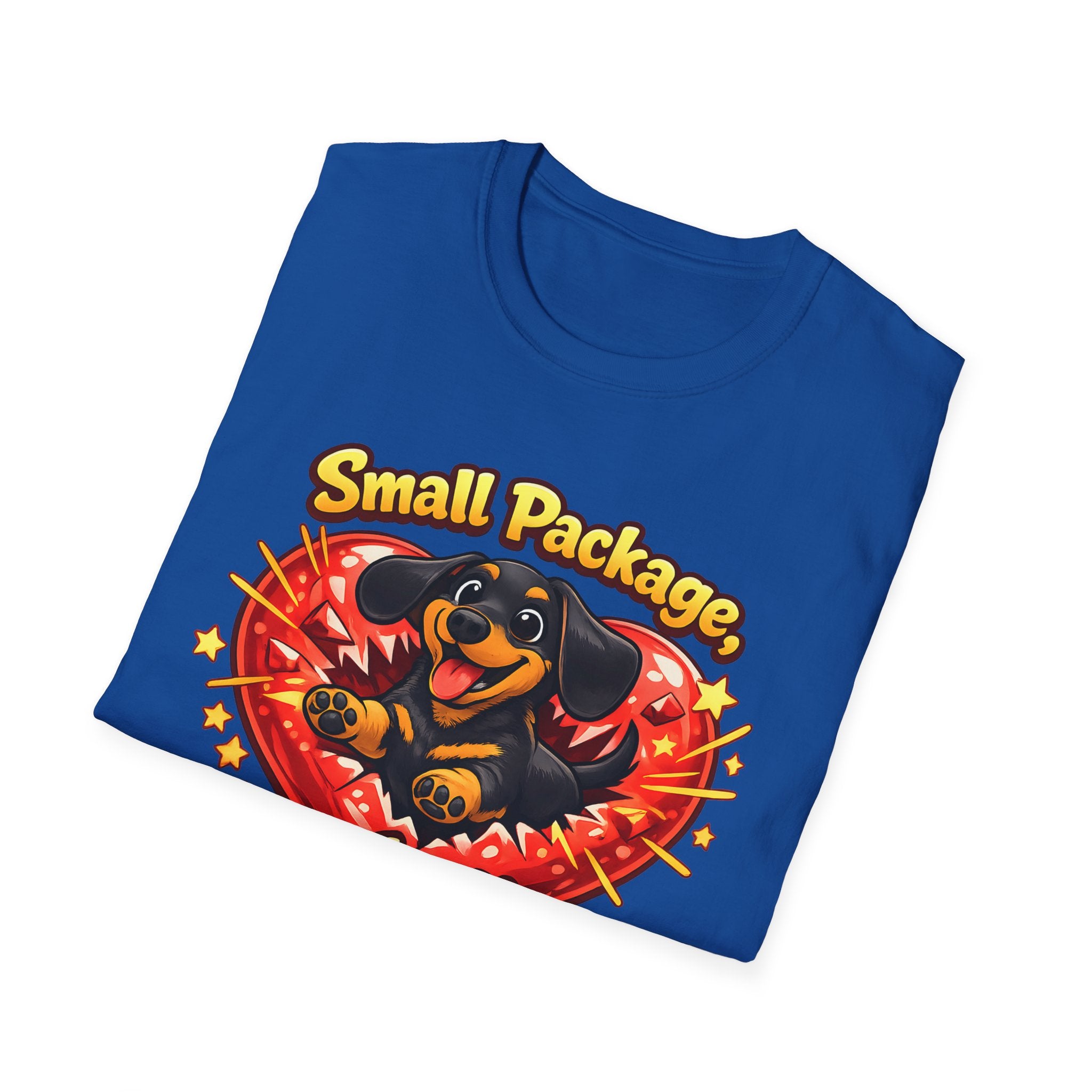 Small Package Long Lasting Joy T-Shirt
