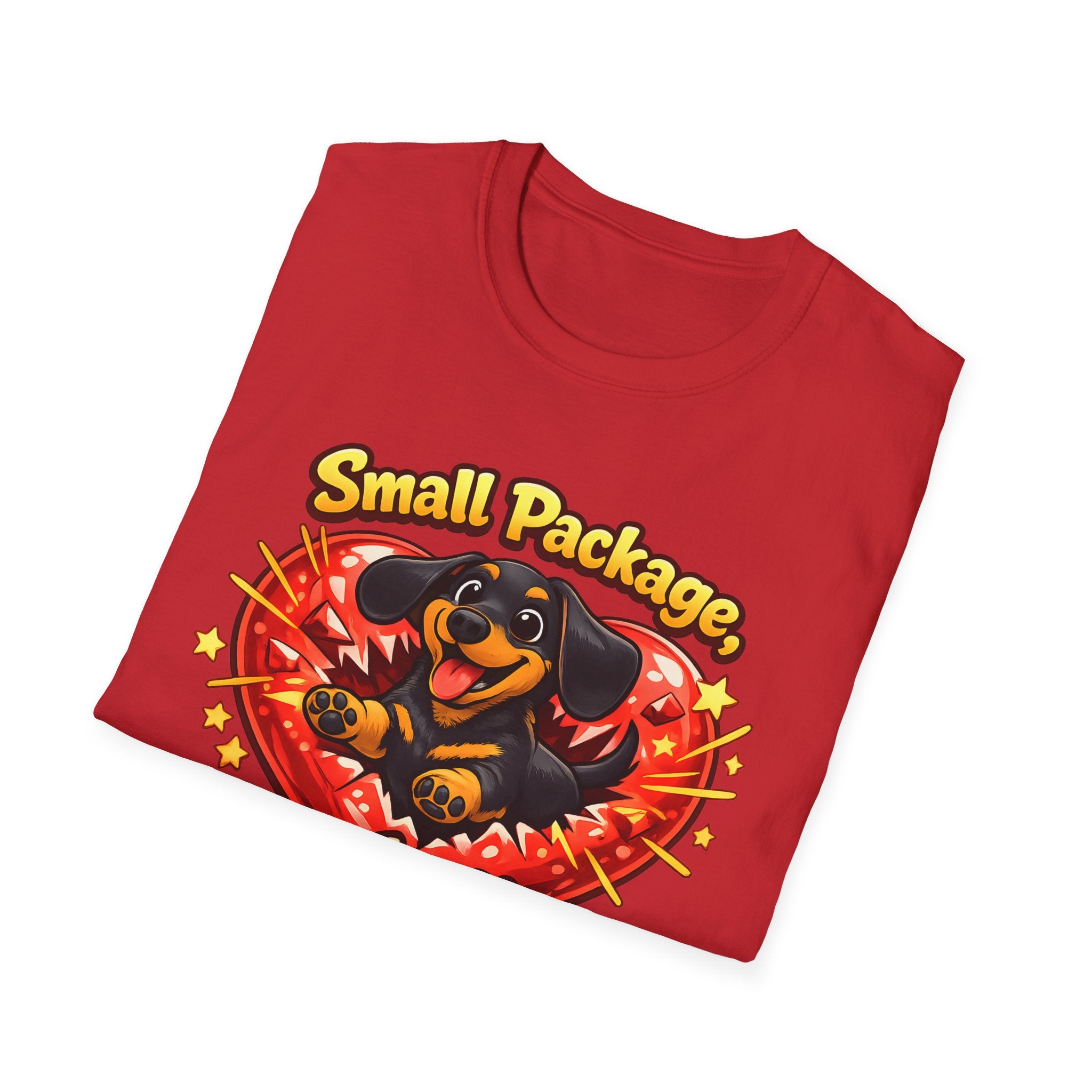 Small Package Long Lasting Joy T-Shirt