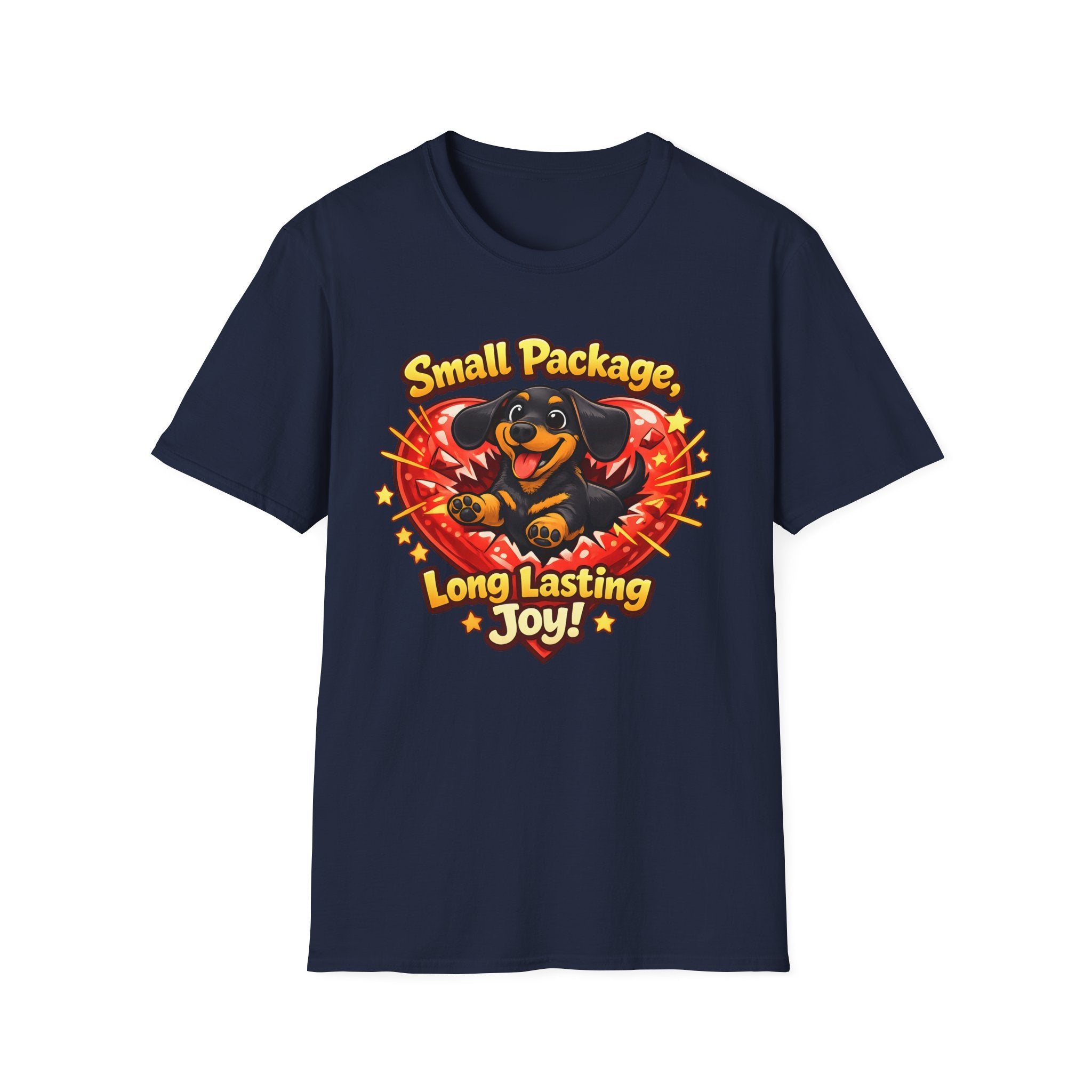 Small Package Long Lasting Joy T-Shirt