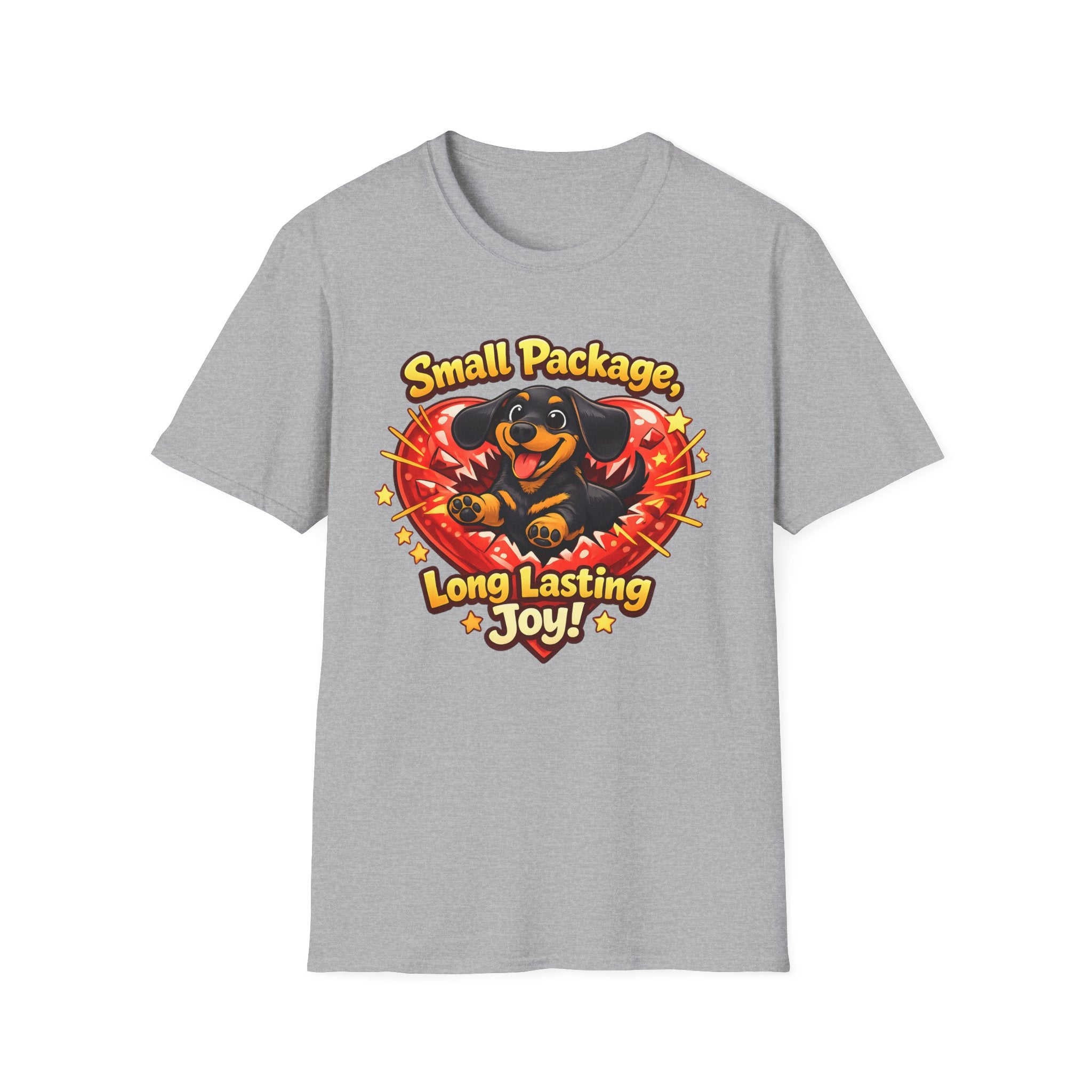 Small Package Long Lasting Joy T-Shirt