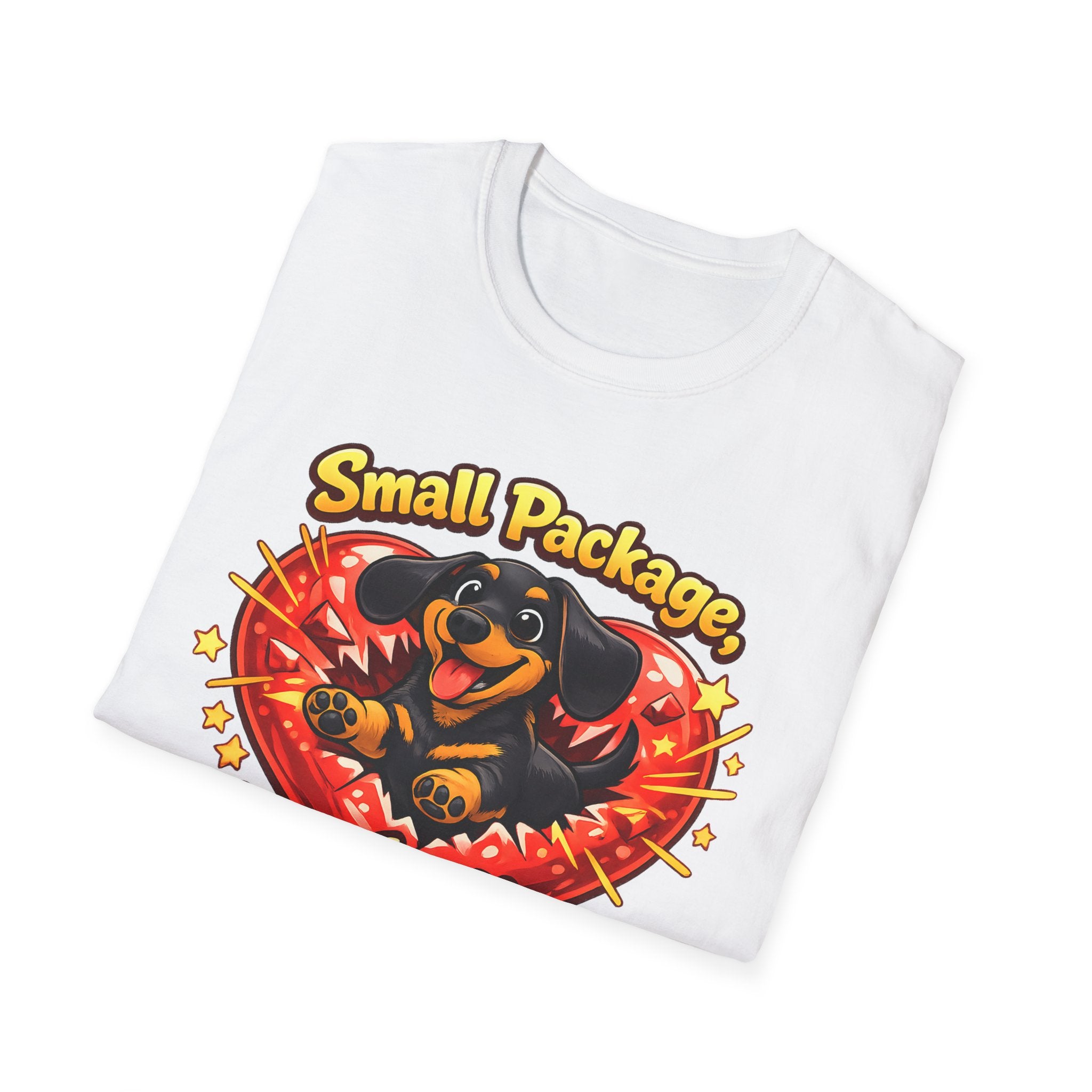Small Package Long Lasting Joy T-Shirt