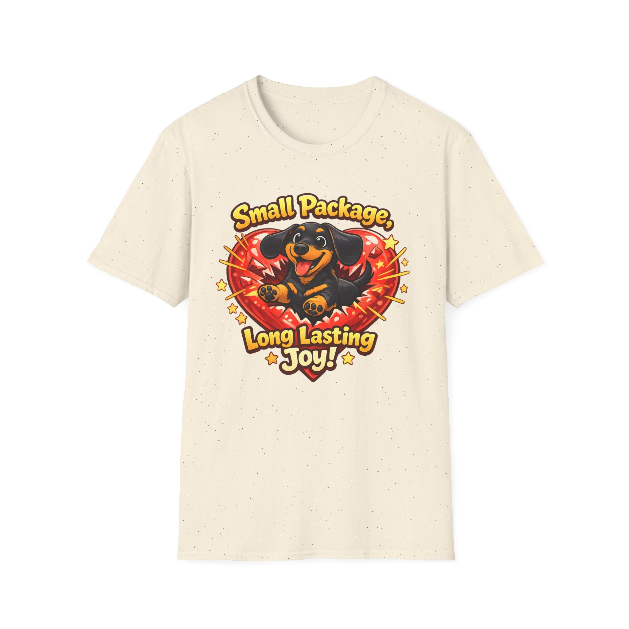 Small Package Long Lasting Joy T-Shirt