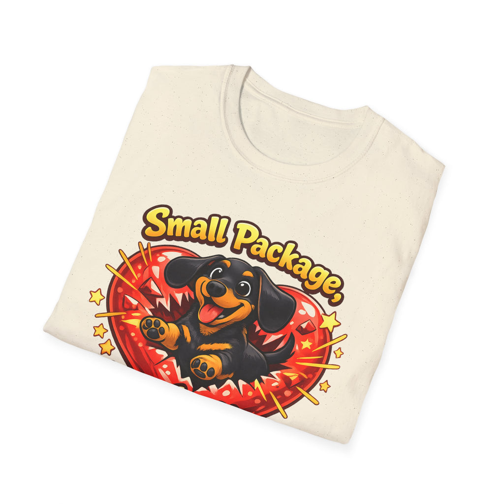 Small Package Long Lasting Joy T-Shirt