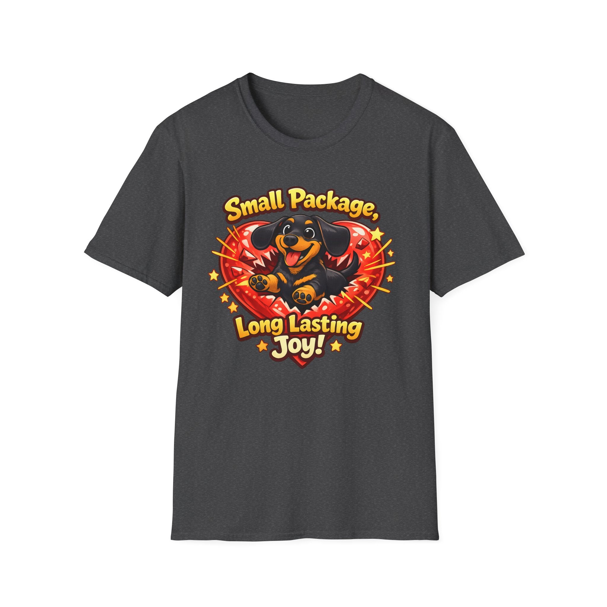 Small Package Long Lasting Joy T-Shirt