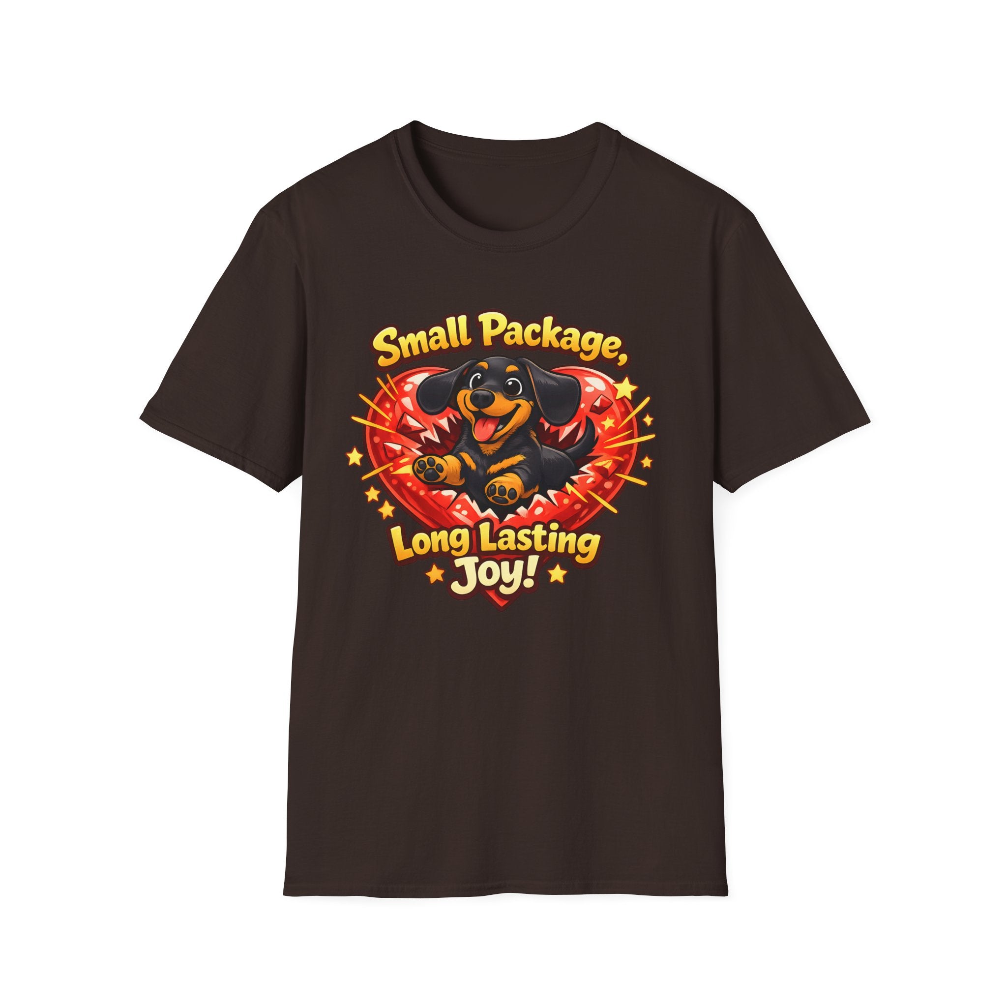 Small Package Long Lasting Joy T-Shirt