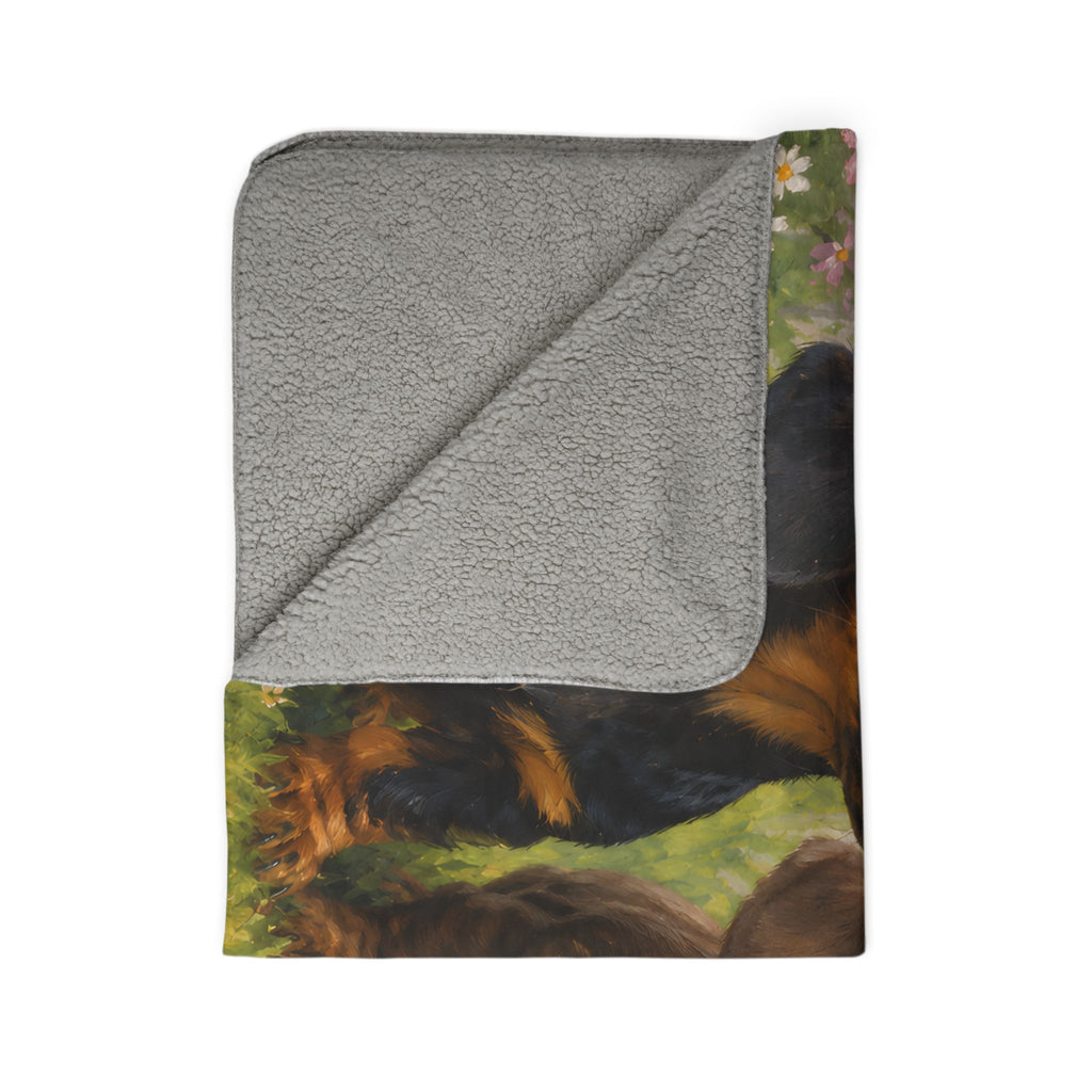 Aerial Discovery Fleece Sherpa Blanket