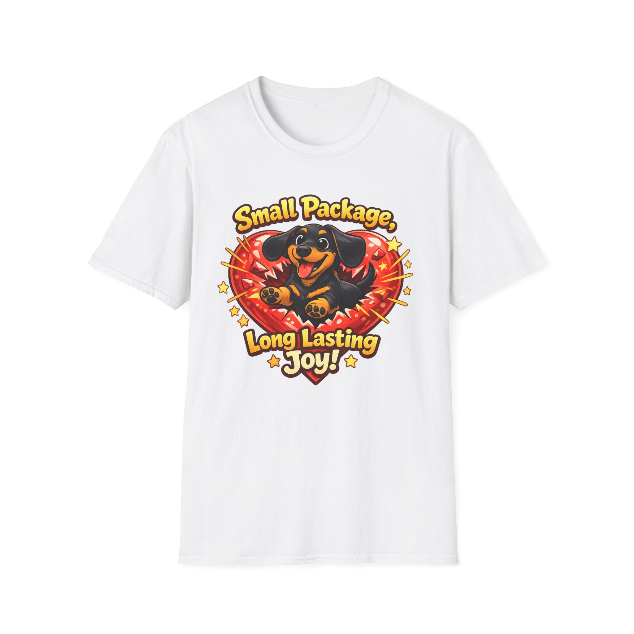 Small Package Long Lasting Joy T-Shirt