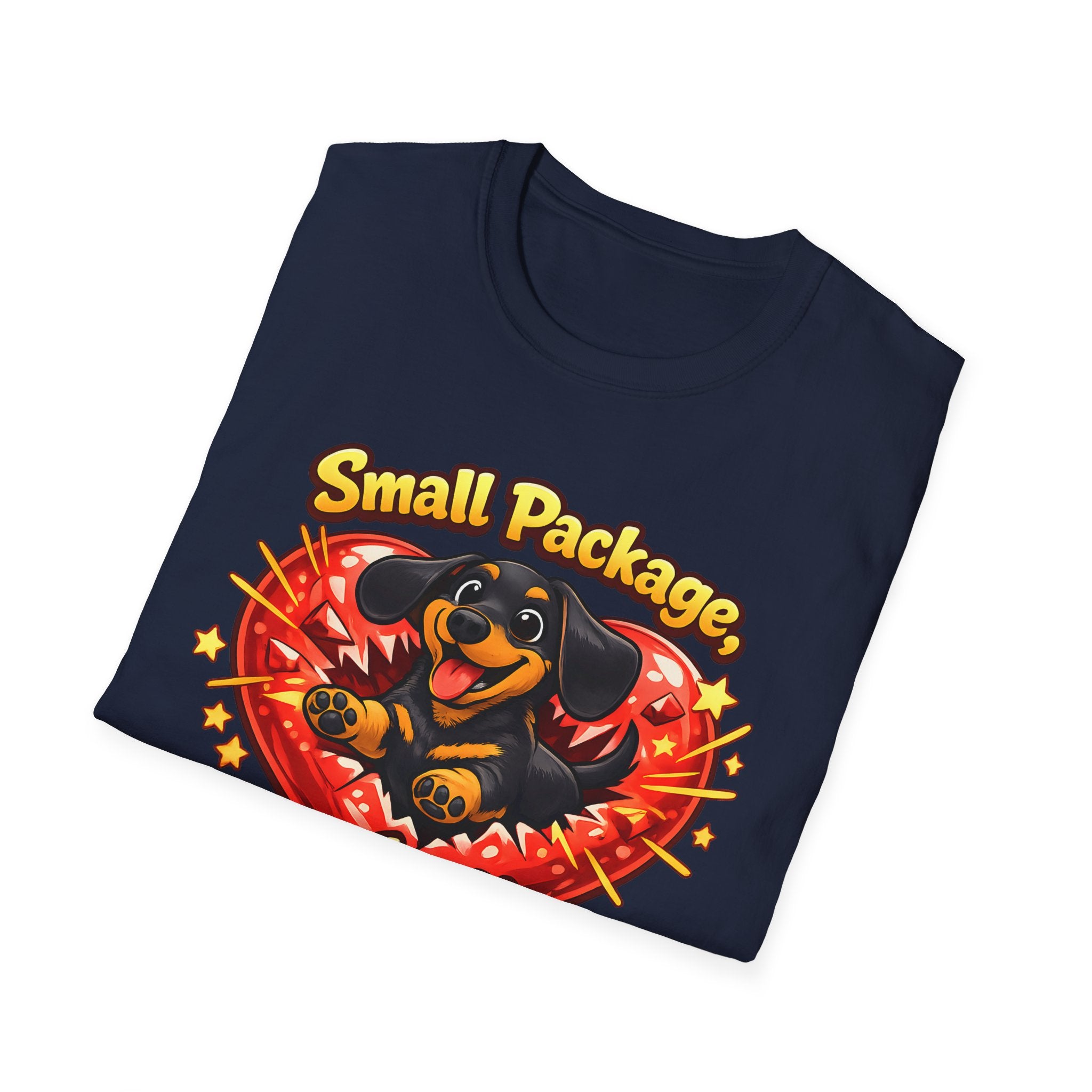 Small Package Long Lasting Joy T-Shirt