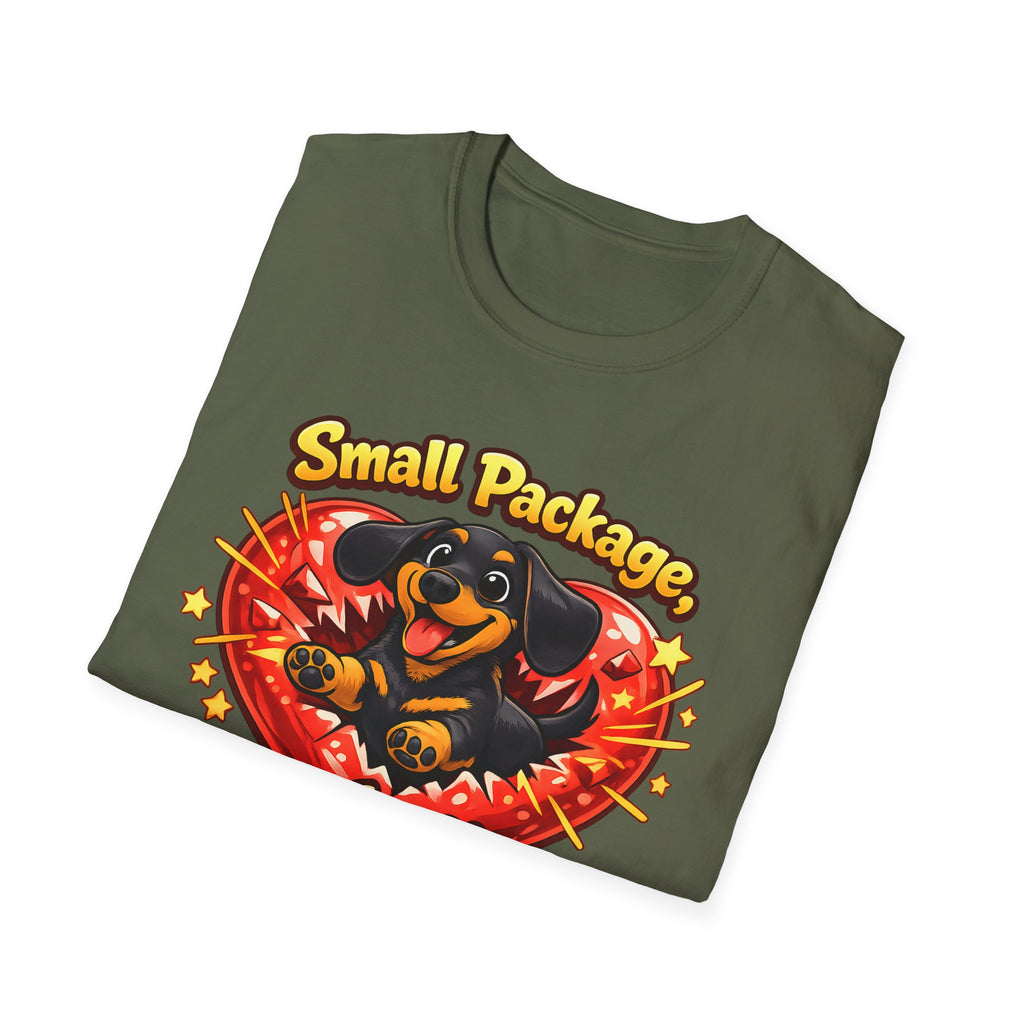 Small Package Long Lasting Joy T-Shirt
